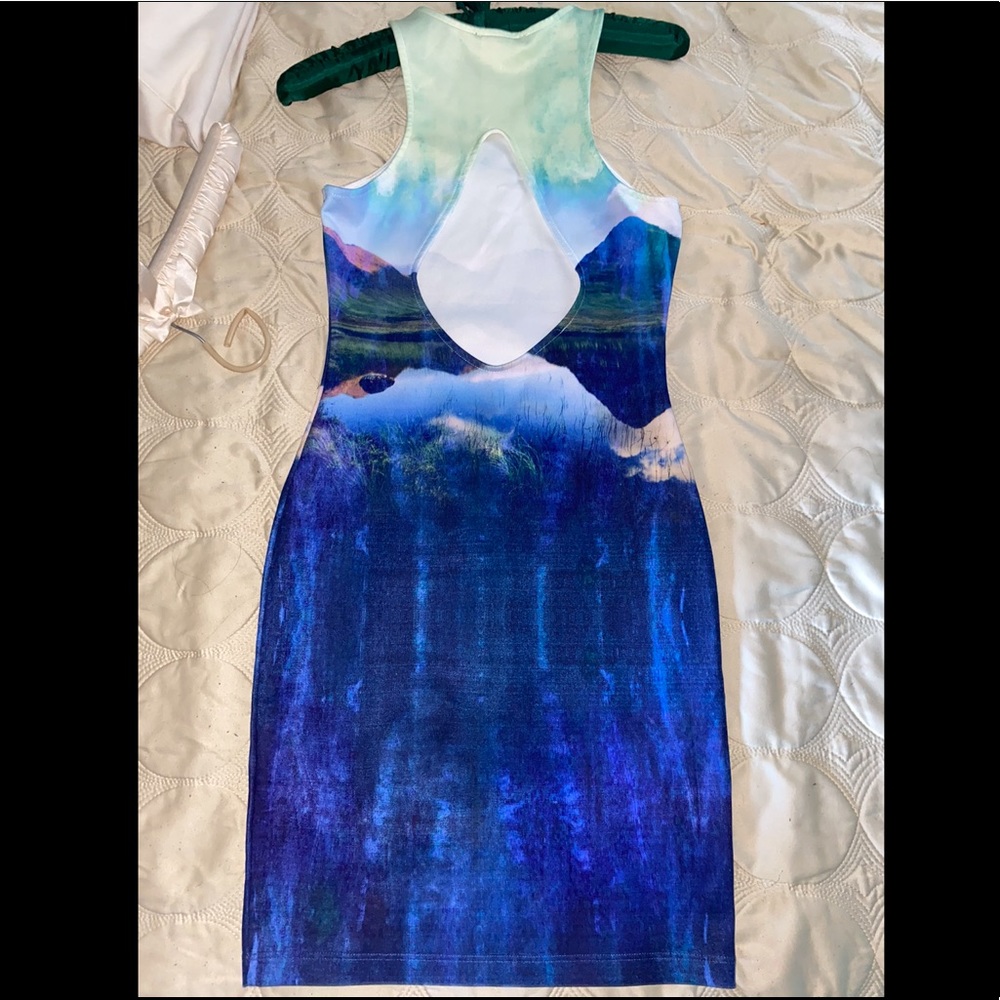 Beyoncé Landscape bodycon H&M dress